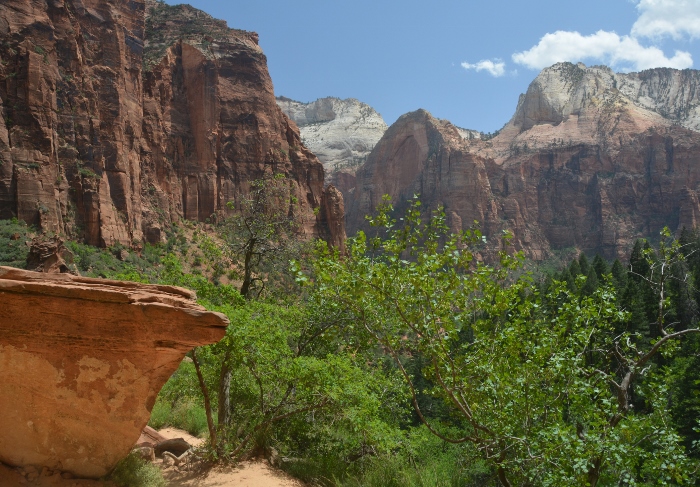 In the Kayenta-Emerald Pools Trail